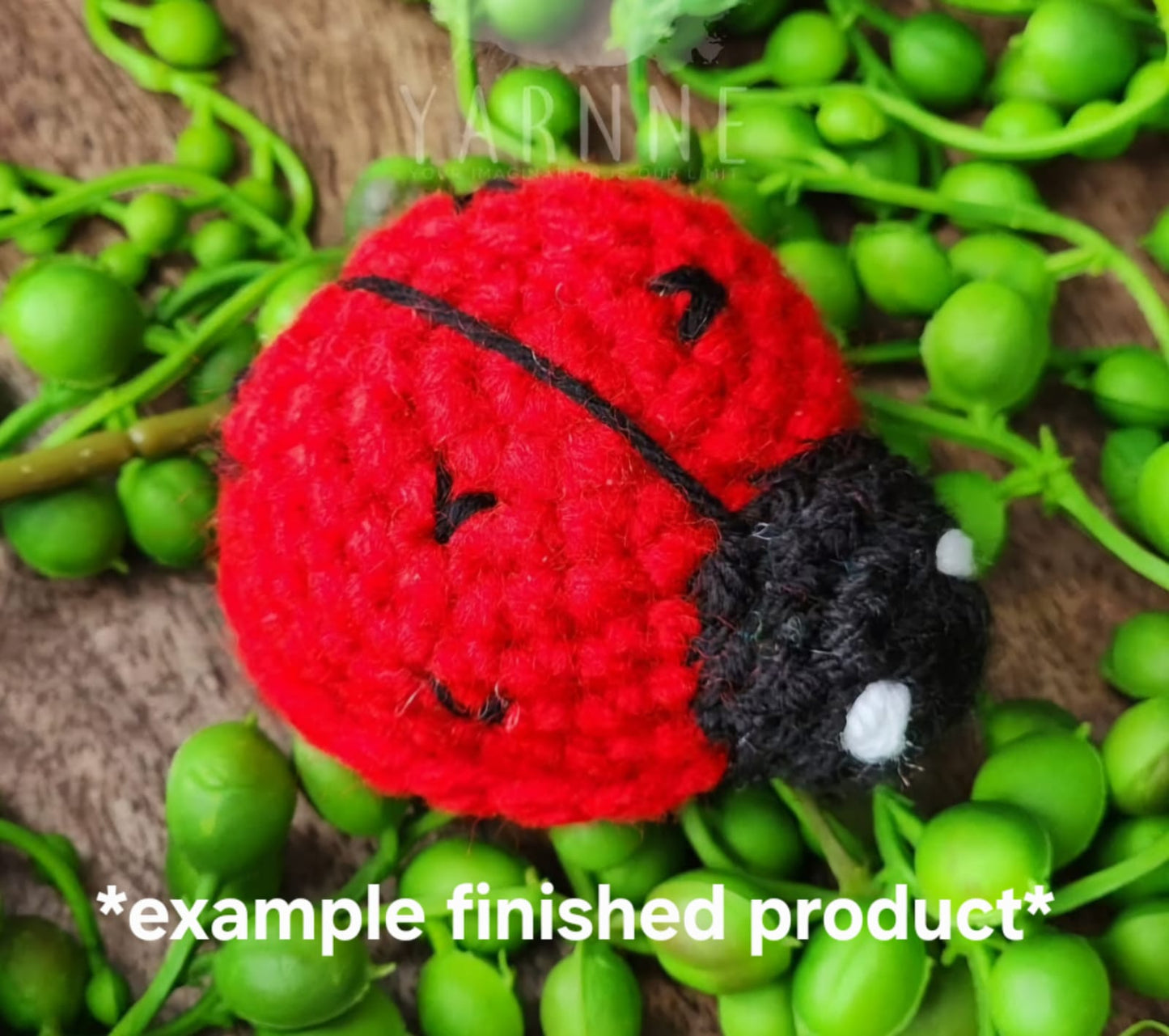 Crochet kit